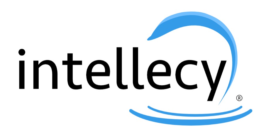 Logo Intellecy Inc. - Deleted