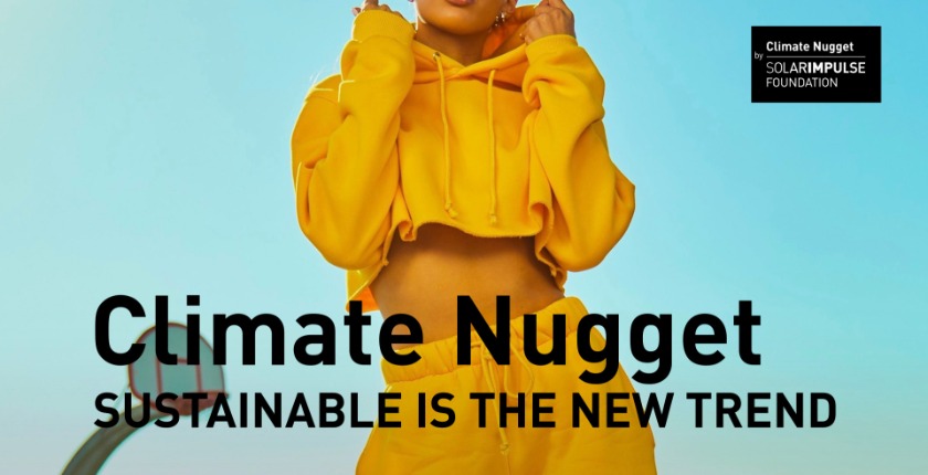 climate nugget